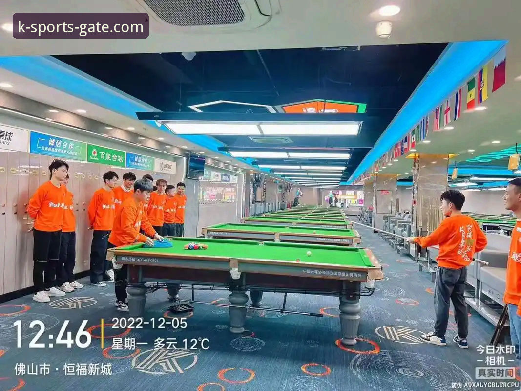 揭秘KK体育平台2026新版：K体育官方登录背后的真相与操作指南